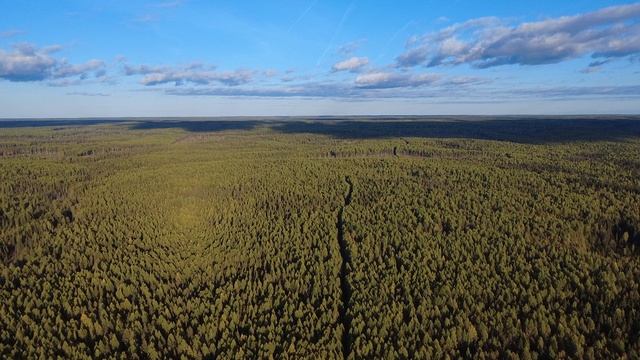 Ручей Волчий поиски потерявшихся грибников.
