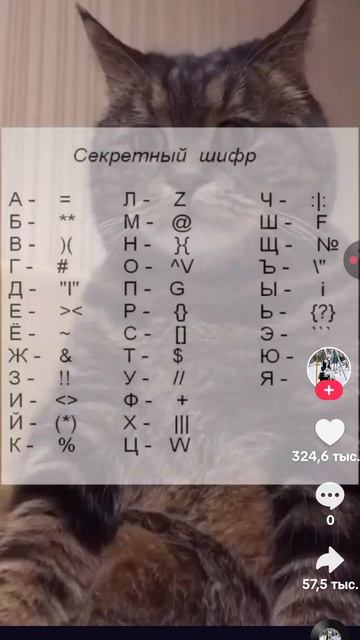 1000001280.mp4