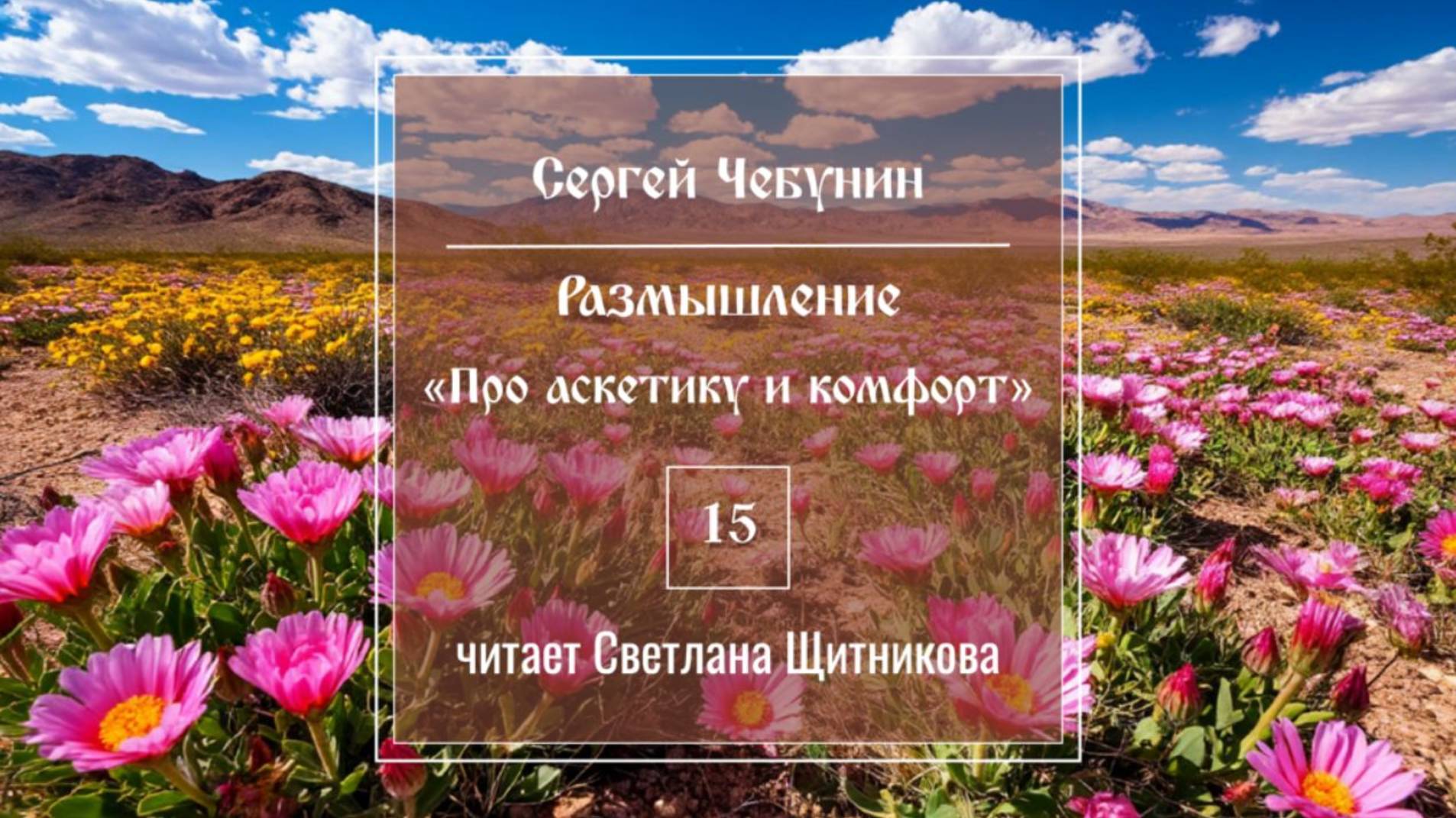 Размышление 15 (автор Сергей Чебунин, читает Светлана Щитникова)