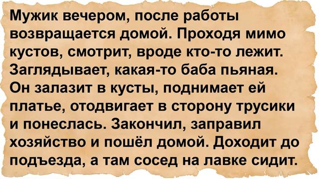Про мужика и бабу пьяную в кустах. Сборник анекдотов