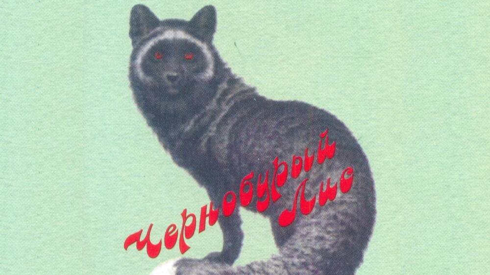Аборт