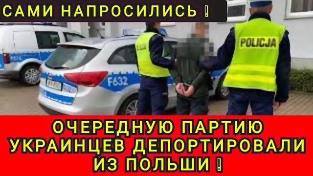 ЕЩЁ ПАРТИЮ УКРАИНЦЕВ ДЕПОРТИРОВАЛИ С ПОЛЬШИ ❗️КАК АДЕКВАТНЫЕ УКРАИНЦЫ СТРАДАЮТ В ПОЛЬШЕ ❗️