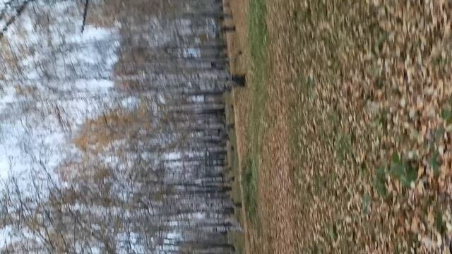 1000213685.mp4