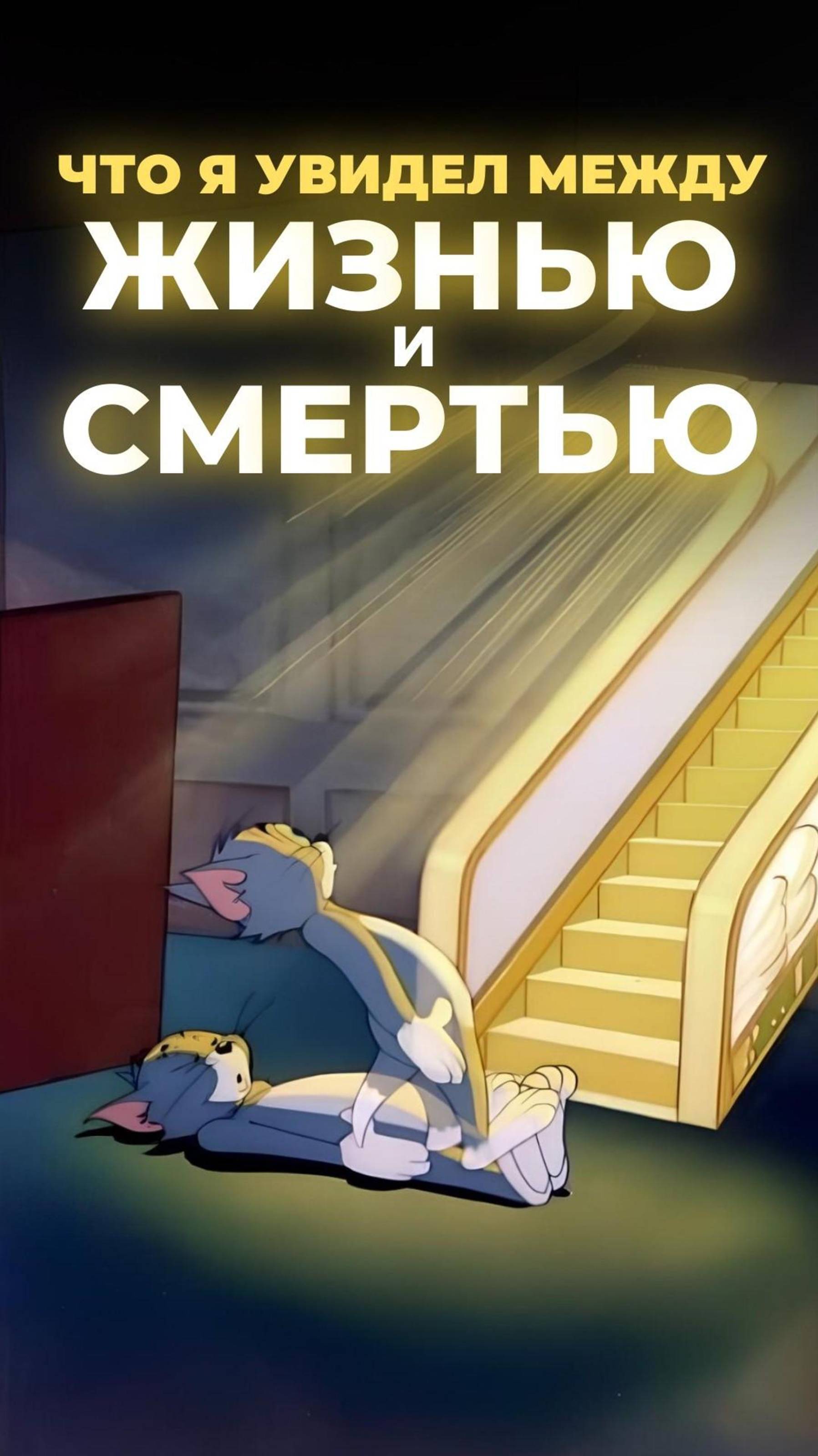 Продолжение смотрите на нашем канале подкаст OpenVillage