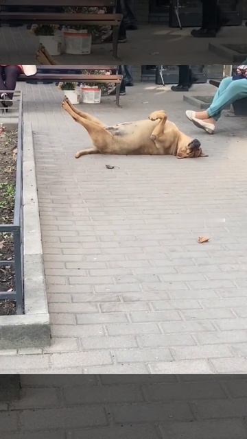 Счастье есть))