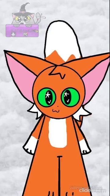 😸🧡🤍