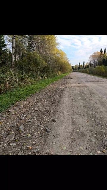 «Бег в пижаме тайги»