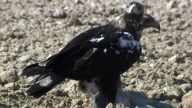 1000014203.mp4