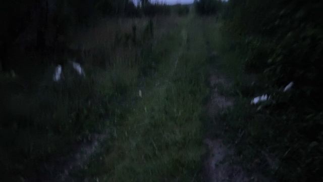 Грибов навалом