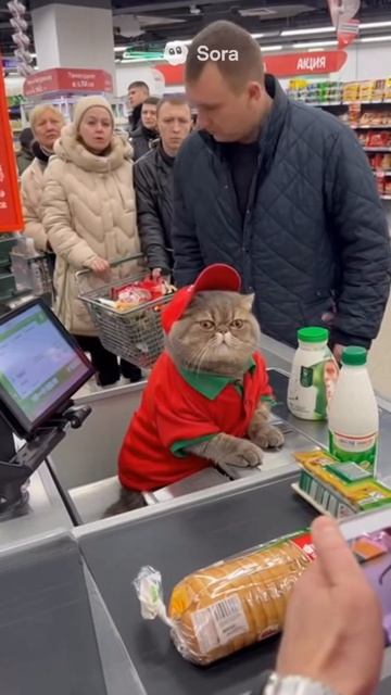 НЕЙРОСЕТЬ