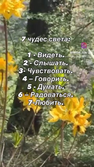 Цитаты о жизни