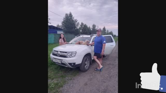 База отдыха Белый Лис, Пенза. Шашлык из Свинины - Карбонат, грибы Маслята. 23 июля 2023 год.