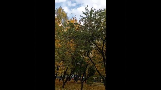 осенние зарисовки