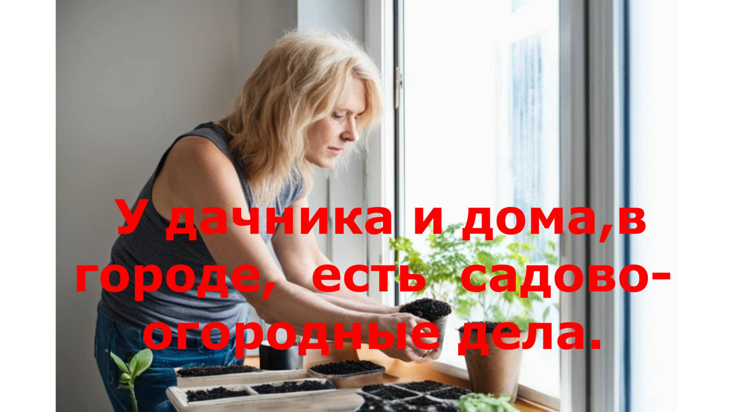 Осень делами весну красит. Делаю заготовку земли под рассаду с осени.