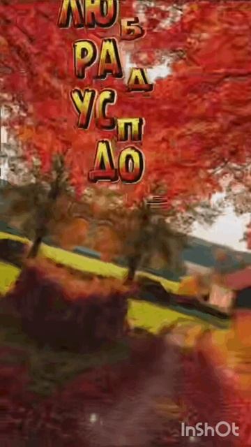 1000106449.mp4