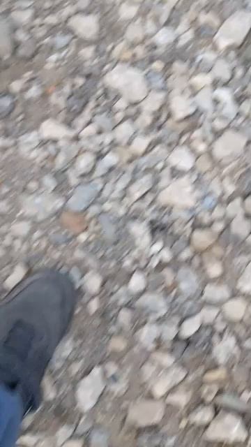 поле