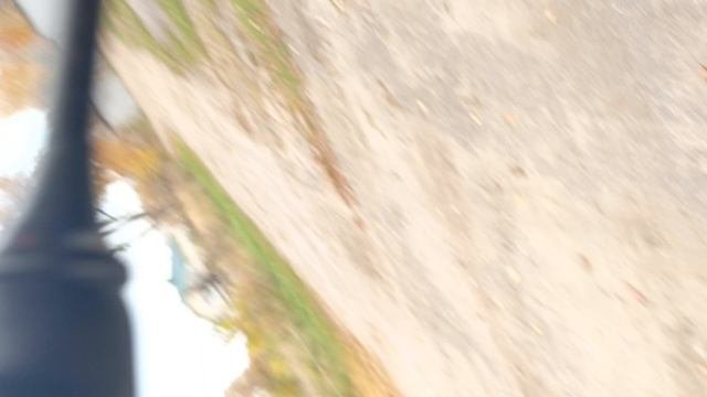 1000023061.mp4