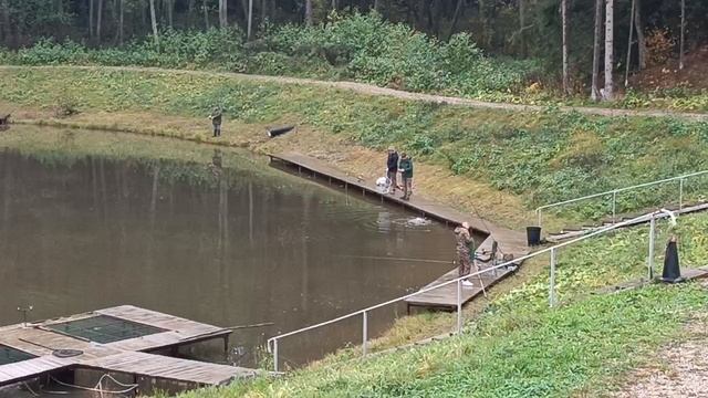 Forest Fishing 11.10.25