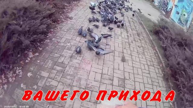 РЕГУЛЯРНО