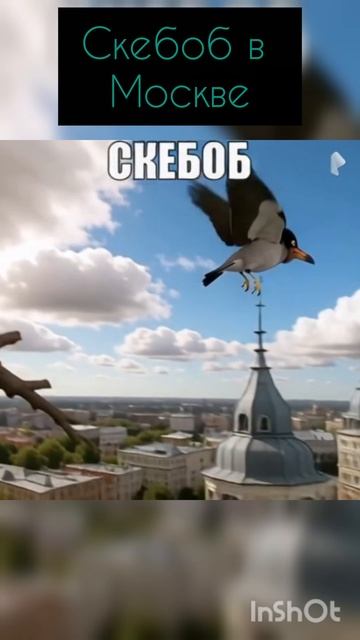 скебоб