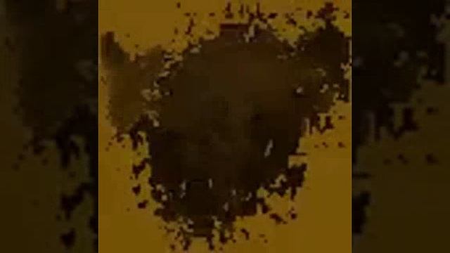 1000001571.mp4