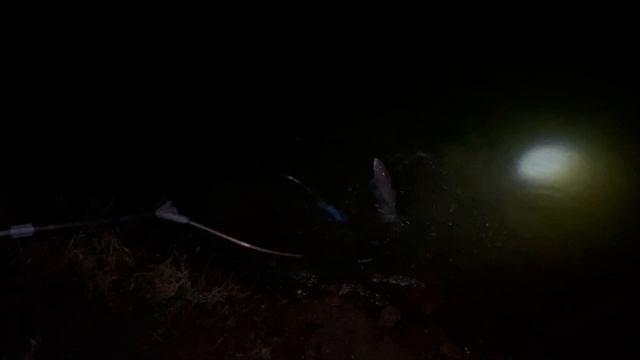 1000121232.mp4