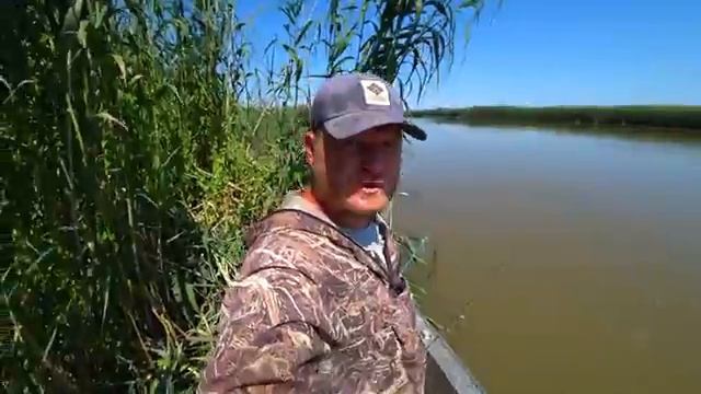 РЫБАЛКА НА ЛЯГУШКУ, ЧЕРВЯ И ЖМЫХ. СОМ И САЗАН, ОБВЕЛИ ВОКРУГ ПАЛЬЦА.
