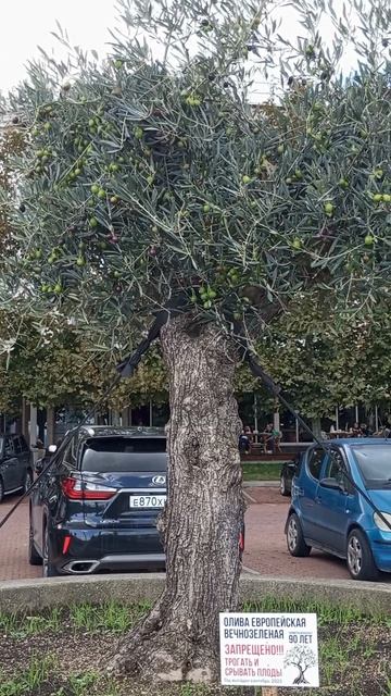1000061590.mp4