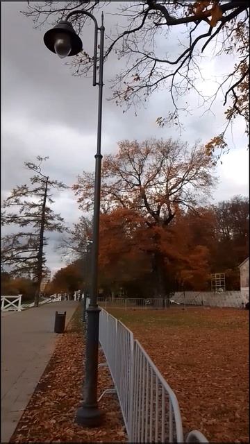 1000195751.mp4