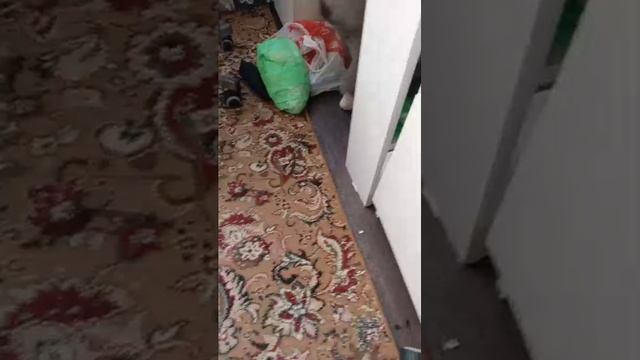 рисовать моих подписчиков.