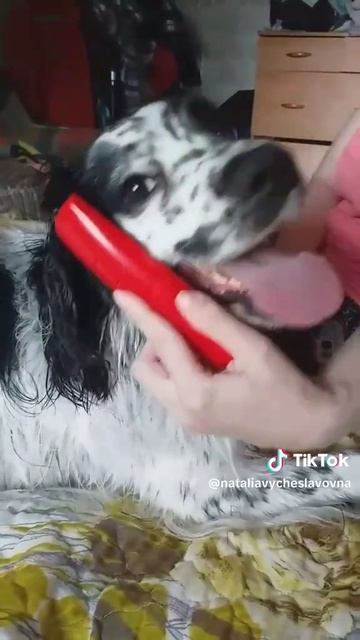 Хотел познакомиться...