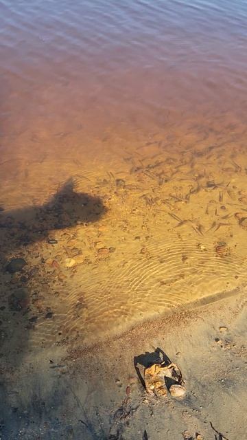 Оксана и мальки.