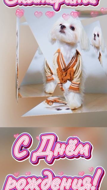 ШуВанИ 