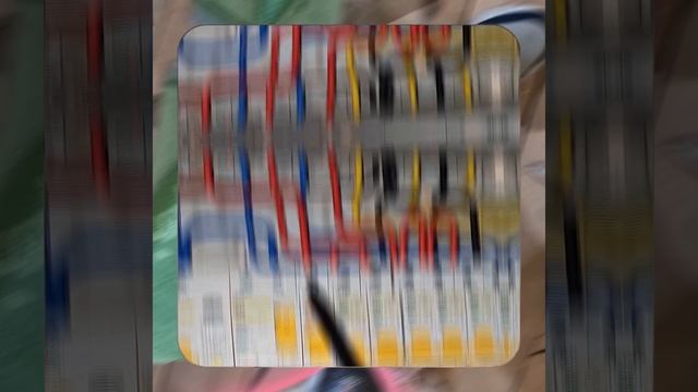 1000037061.mp4 (Собака смотрит на монтаж электропроводки (в э/щите) в доме А-фрейм - ЛАЙФХАКИ)