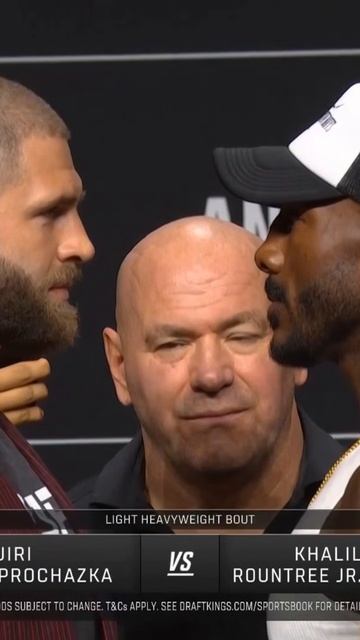 Прохазка и Раунтри перед боем UFC 320