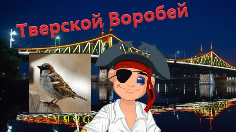 Не Джек Воробей. Тверской воробей.