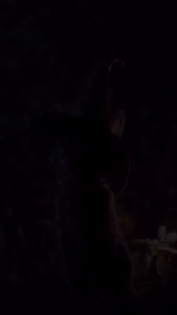 Halloween magic cat