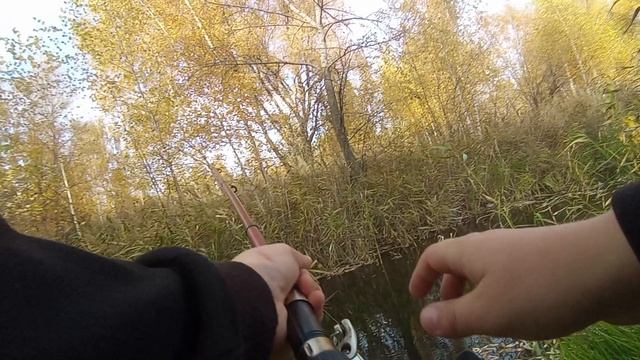 рыбалка часть 2