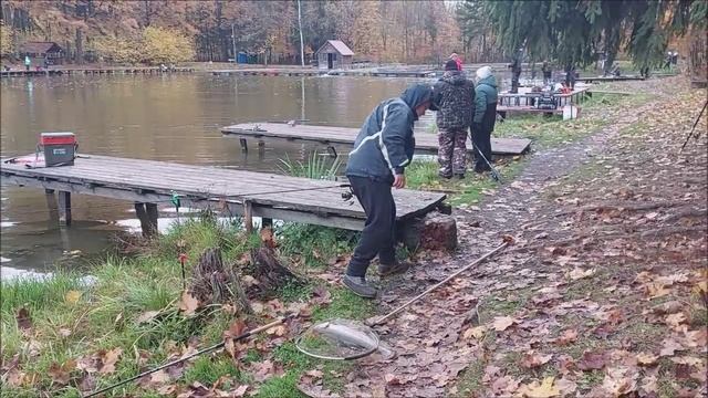 Рыбалка на верхнем водоёме. Клёвое место, Лосиный остров.