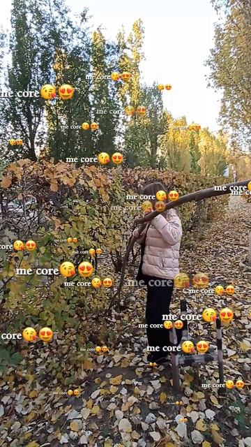 мы Core 🙏 #полиналучше