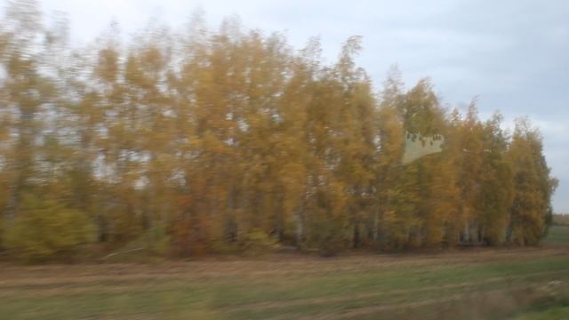 2. По Дороге в Ульяновск (2)