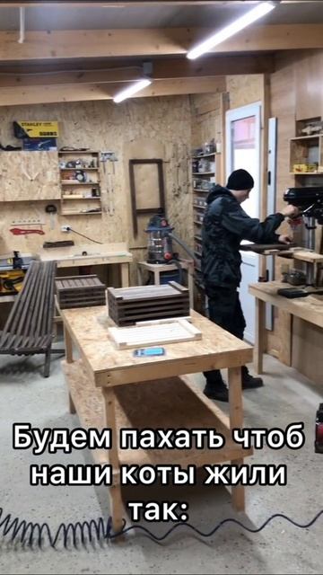 топ прикол-чек