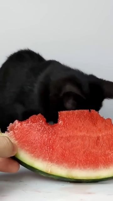 1000009498.mp4