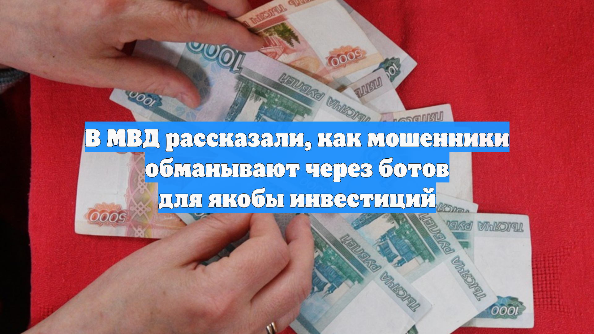 В МВД рассказали, как мошенники обманывают через ботов для якобы инвестиций