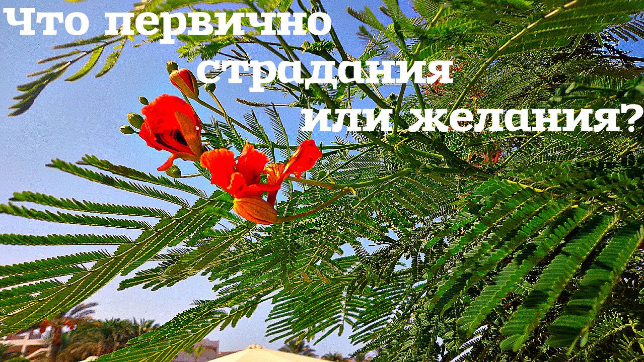 Что первично страдания или желания