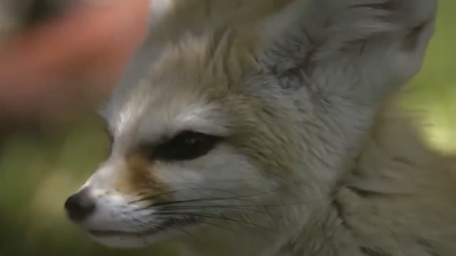 НЕВЕРОЯТНО КРАСИВАЯ! ПОТРЯСАЮЩАЯ МУЗЫКА ДЛЯ ДУШИ! ПРОСТО СУПЕР! РЕЛАКС