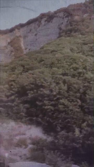 1000003292.mp4