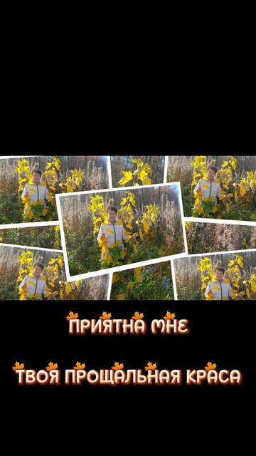 КРАСИВАЯ ОСЕНЬ.#красиваяосень #ValentinaAN #природа #лес