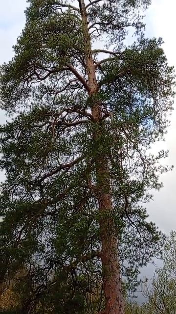Саблинский водопад. Квест.