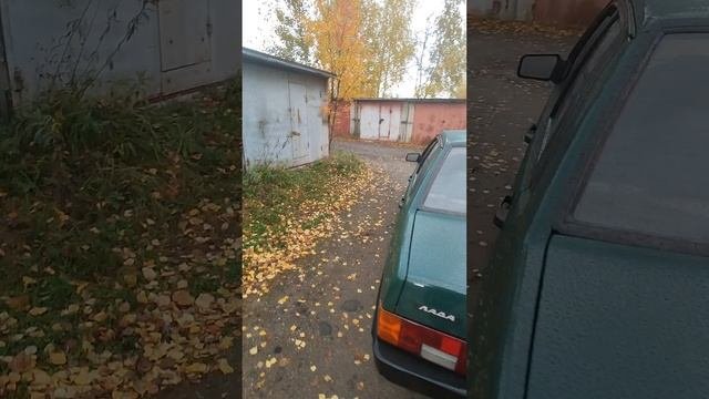 99.mp4